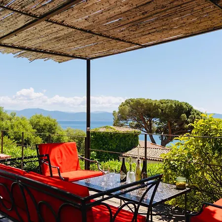 Balamb Garden A Cinarchesa Ajaccio (Corsica)