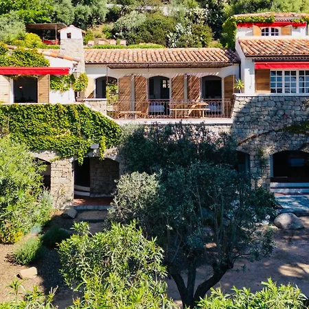 Balamb Garden A Cinarchesa Ajaccio (Corsica)