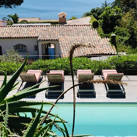 Balamb Garden A Cinarchesa 4* Ajaccio (Corsica)