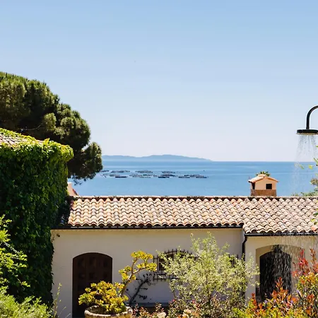 Balamb Garden A Cinarchesa